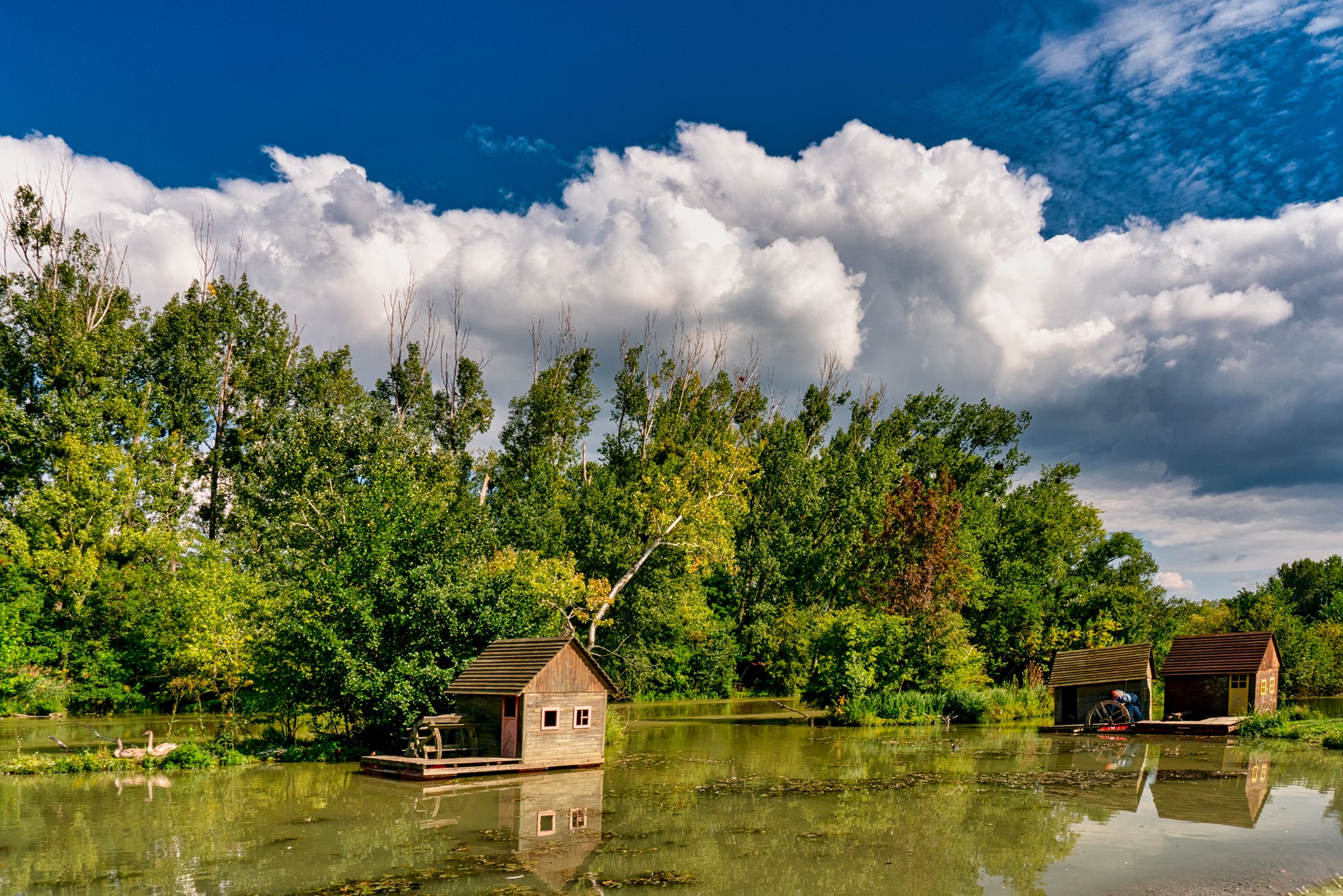 9. Magicka krajina na juhu Zalesie foto Jan Zitniak